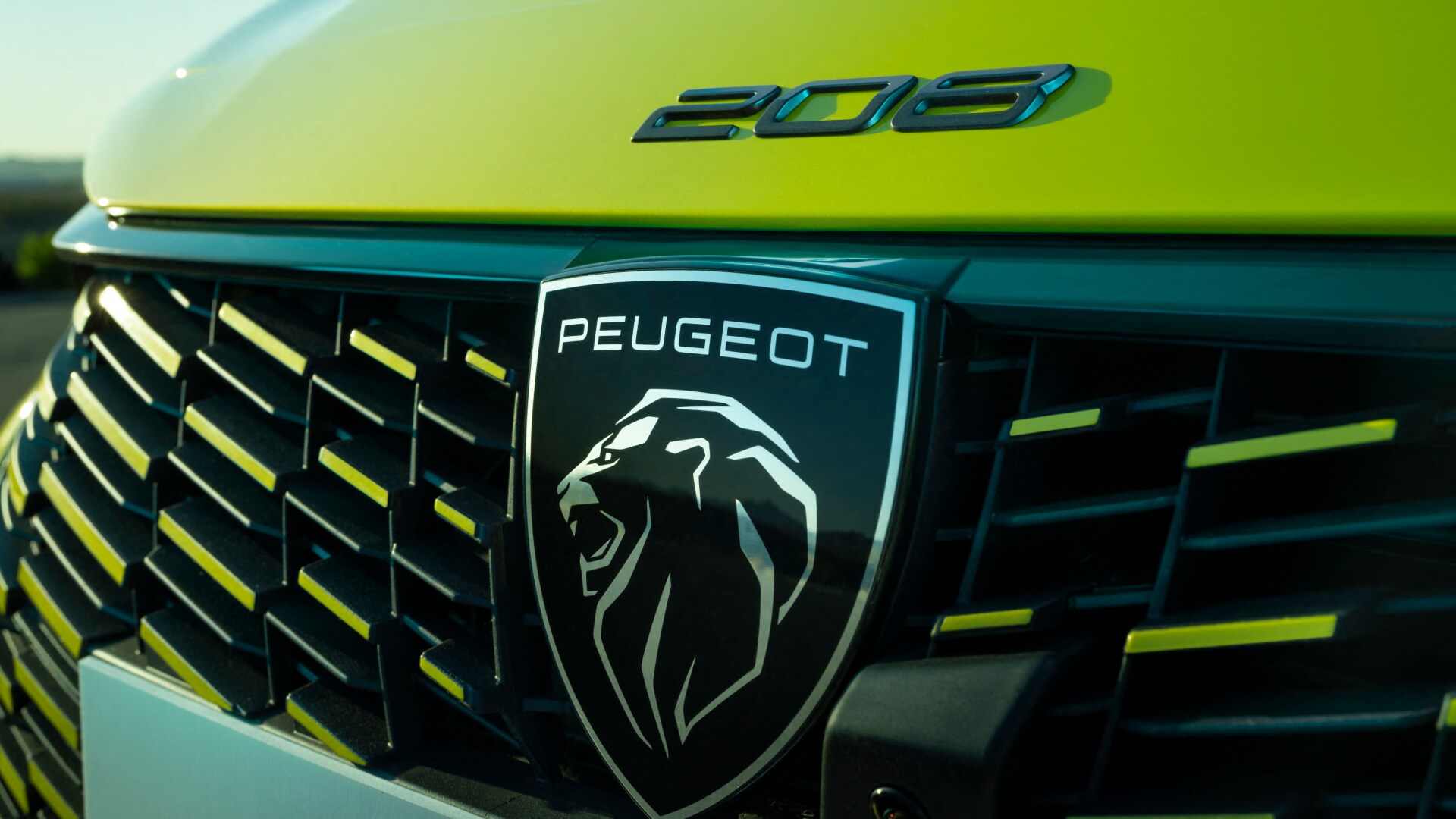 PEUGEOT 208 grille met logo